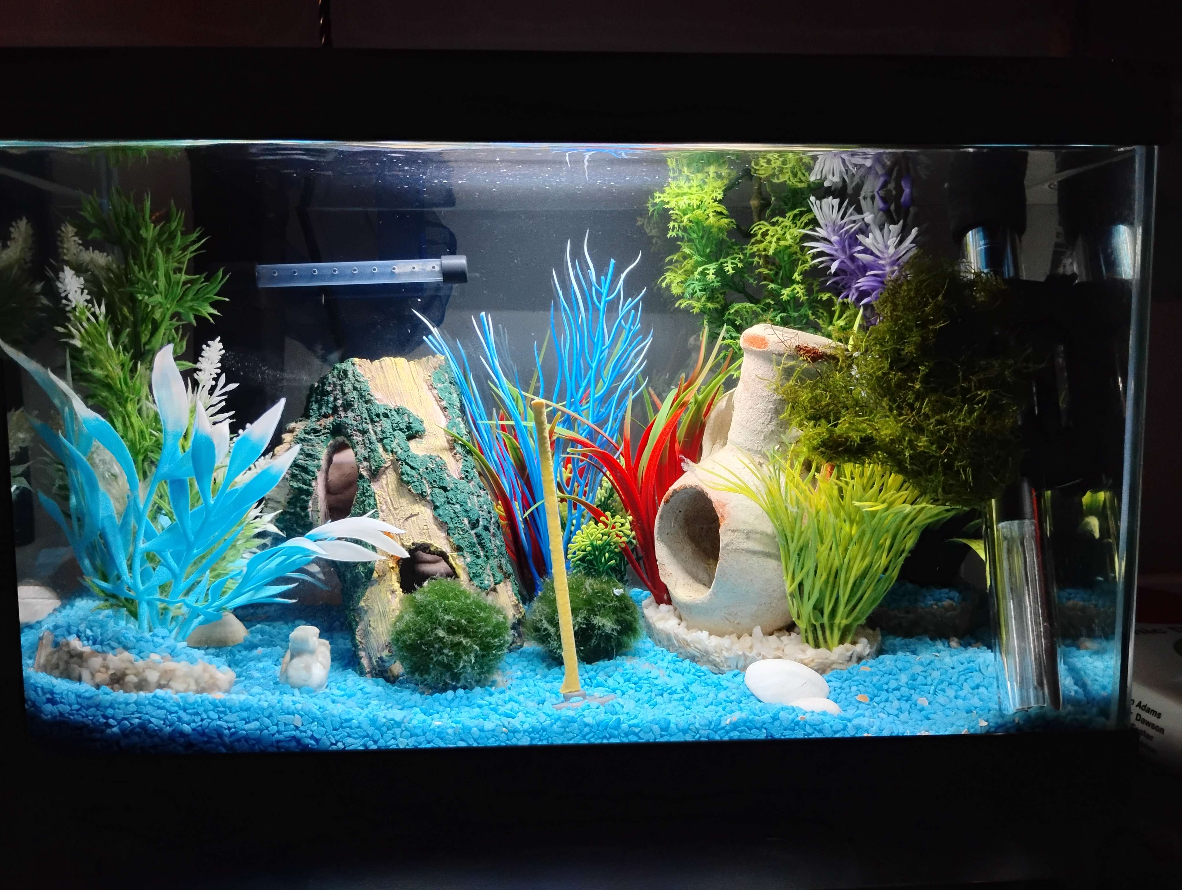 My first ever tank! Oh memories..