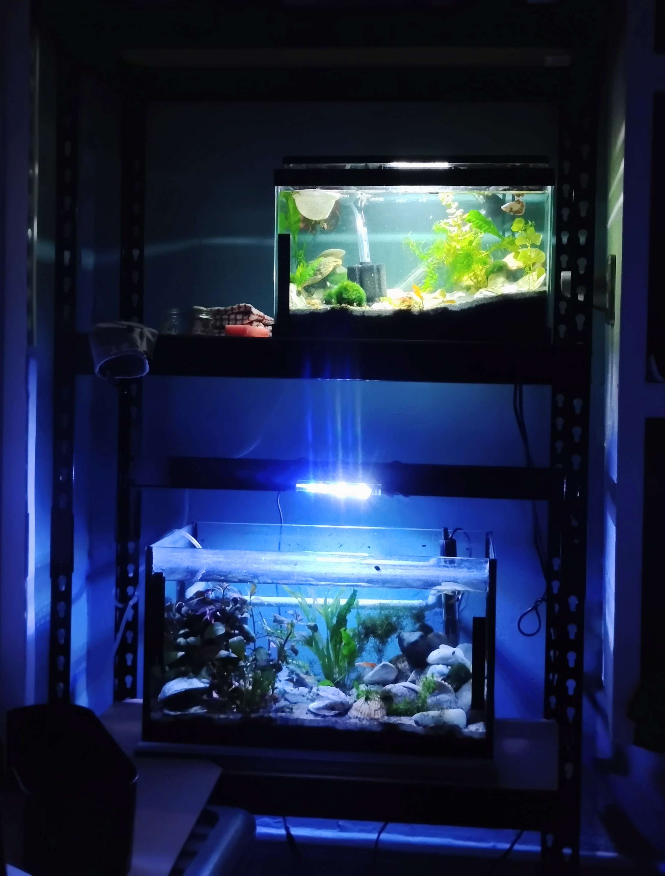 I eventually got a proper shelf for my fish so i wouldn't have to worry about my desktop imploding while i was asleep